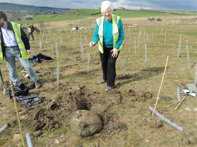 Tree Planting at Sugden End - tree planting supervision