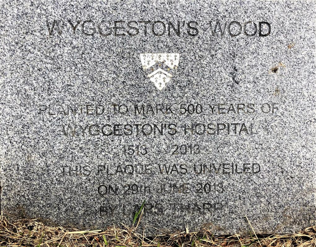 Wyggeston Wood -  Work Parties - 