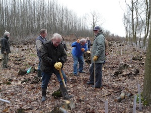 Sittingbourne Invicta's Tree Planting