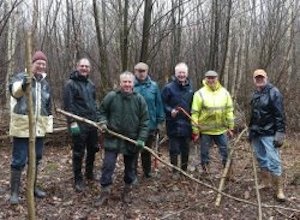 Coppicing Work for Kent Wildlife Trust