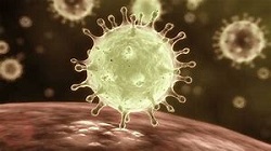 Image showing a Covid virus