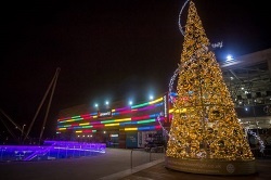 Tree of Light
