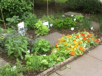 Incredible Edible Cumbria